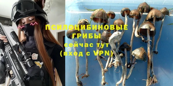 a pvp Вяземский