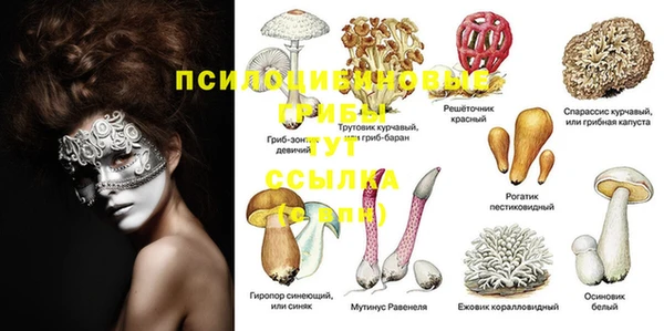 стафф Вязники
