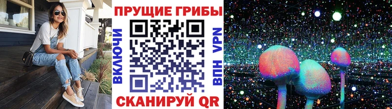 цены наркотик  Шелехов  Псилоцибиновые грибы мухоморы 